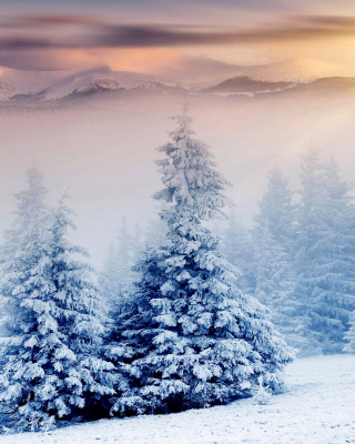 Обои Winter Nature in Prisma Editor на Samsung Smooth