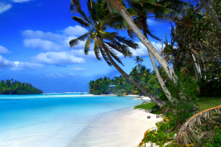 Обои Beach on Cayman Islands для телефона и на рабочий стол Huawei G525