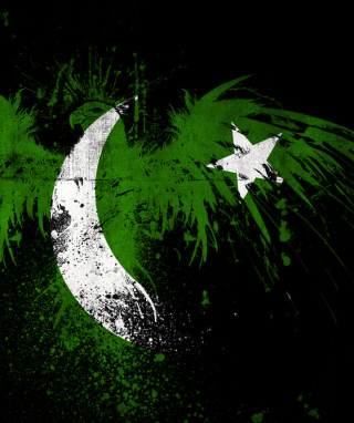 Картинка Pakistan Flag для 132x176