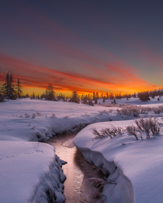 Картинка Snow Landscape на телефон 240x320