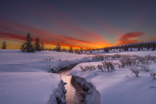 Картинка Snow Landscape на телефон HTC J
