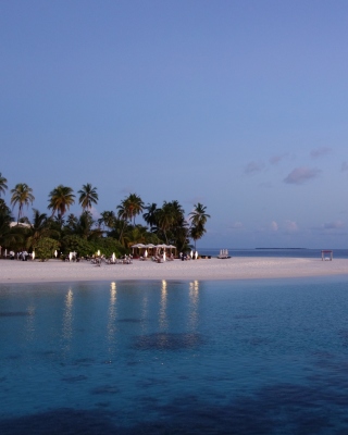 Обои Tropic Tree Hotel Maldives на телефон iPhone 6S