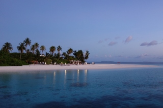 Обои Tropic Tree Hotel Maldives на Huawei G525