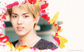 exo - Kris wallpaper