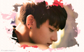 exo - Tao wallpaper