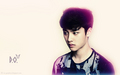 exo - EXO wallpaper