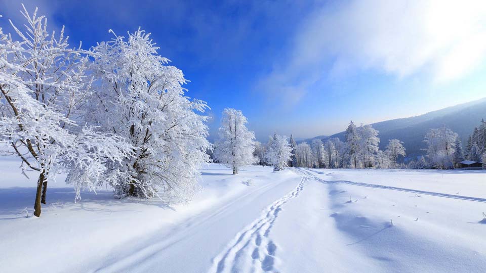 обои зима пейзажи
