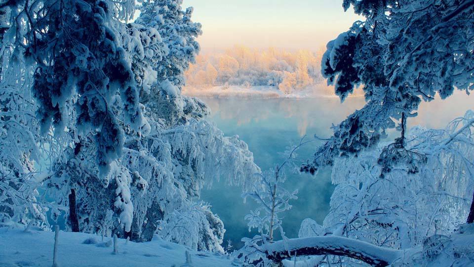 обои зима пейзажи