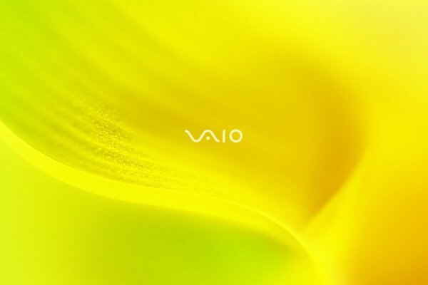 Sony VAIO тендер желтый