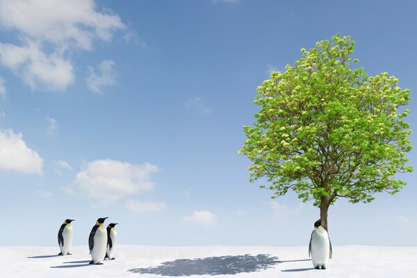 Пингвины и зеленое дерево