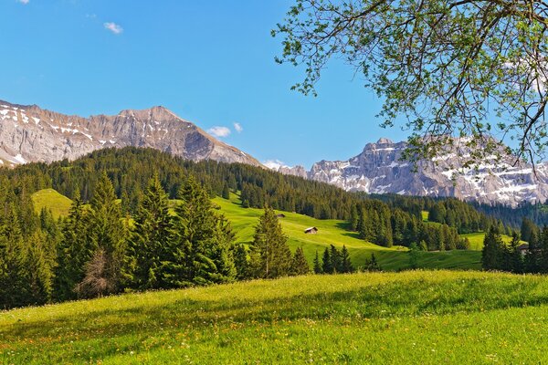Швейцария зеленые горы