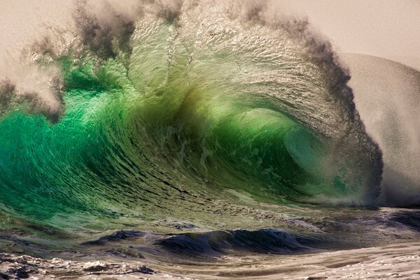 Зеленый морской волны