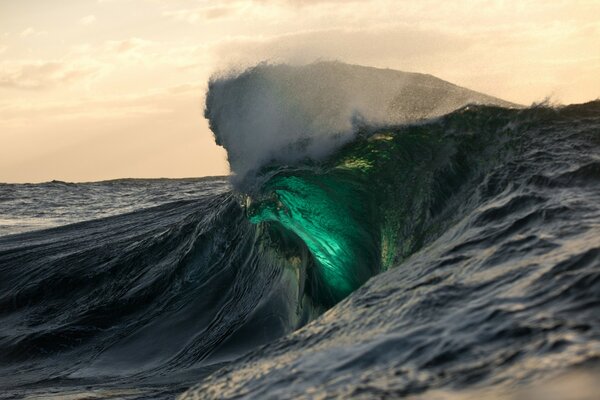 Удивительная зеленая волна