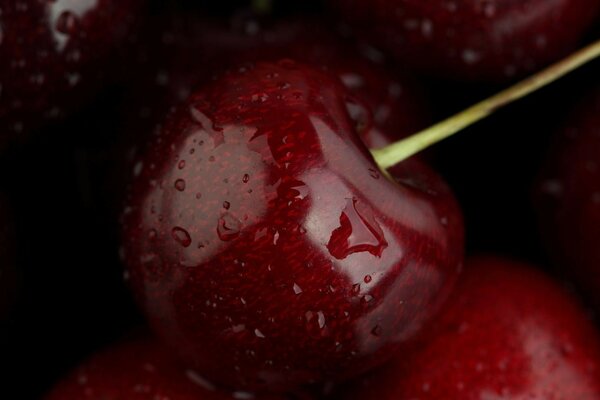 капли Черешня макро food еда вода fruit macro cherry