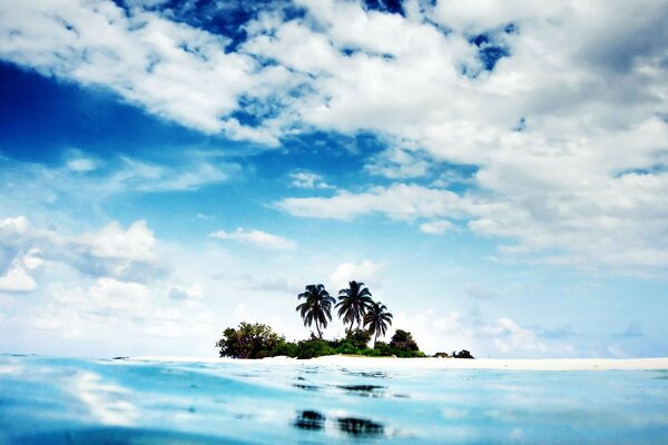 остров океан Природа пальмы вода пейзаж небо