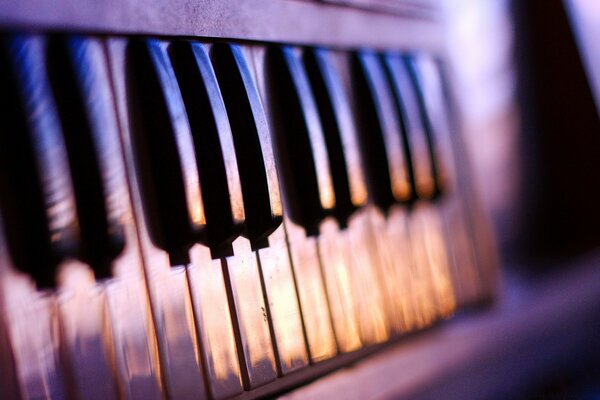 Клавиатура, закат