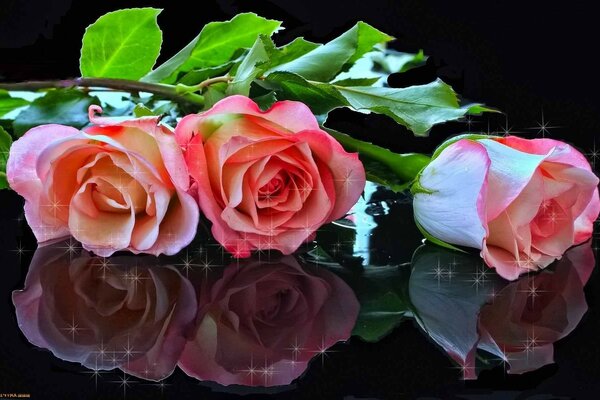 Три розы на блестящей поверности