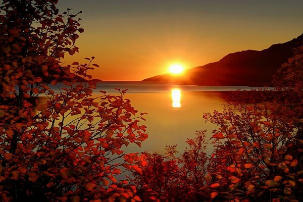 Осень небо солнце закат лучи горы ветки листва море