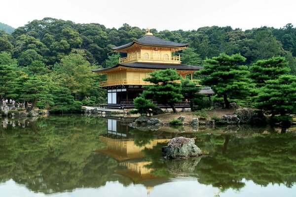 деревья япония пагода река