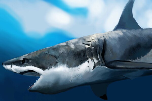 под водой акула арт голод пасть