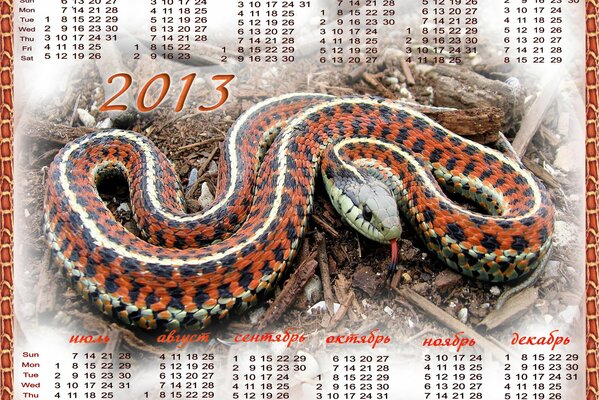 змеиный год календарь на 2013 год