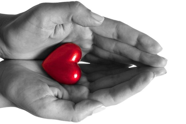 Любовь руки сердце чувство