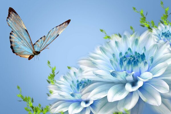 синий цветок и бабочка.