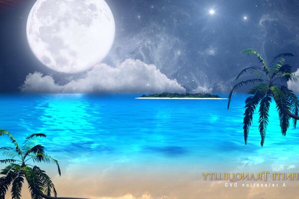Тропический остров, луна и пальмы