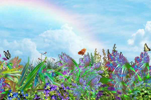 Полевые цветы,бабочки,небо,радуга