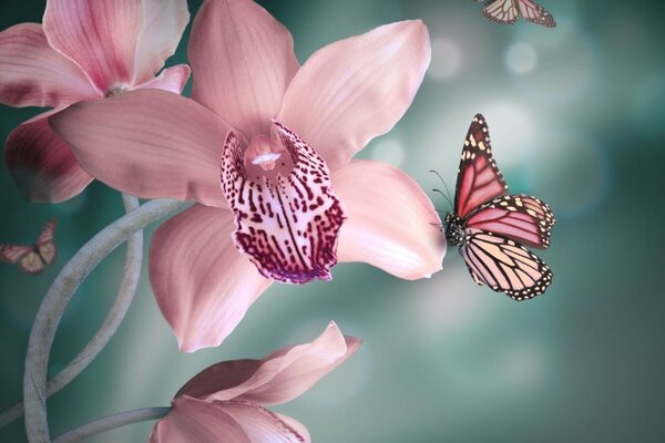 Цветок с бабочками
