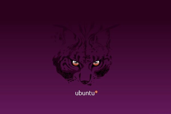 Ubuntu 1.3