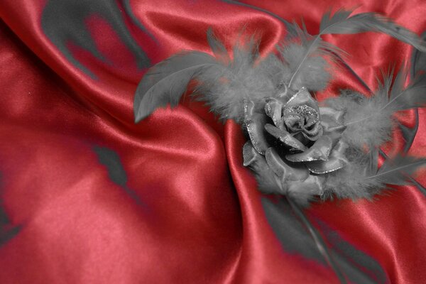 Роза,перья на красном