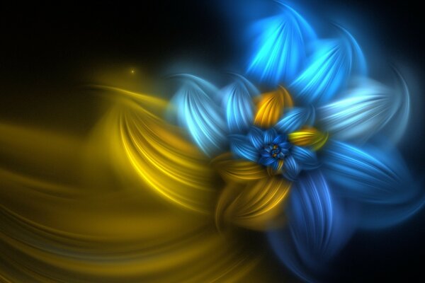 Сине-желтый цветок