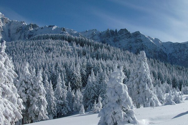 Румыния, горы, снег