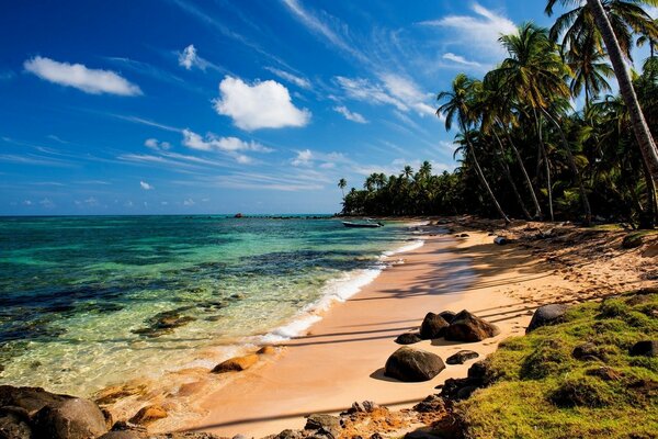 Тропический пляж с травой
