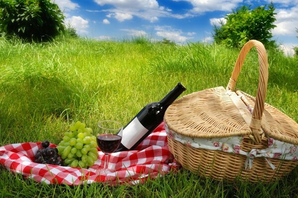 Корзина для пикника, вино, виноград