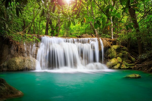 Тропический лес водопад
