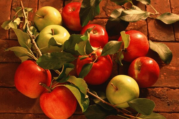 Красные яблоки и зеленые яблоки