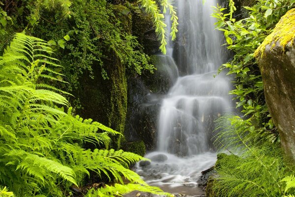 Водопад, Kubota сад, Сиэтл, Вашингтон