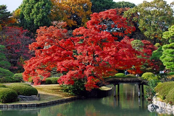 Осень, Япония