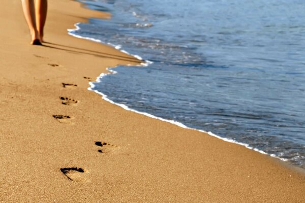 следы на песке морского берега