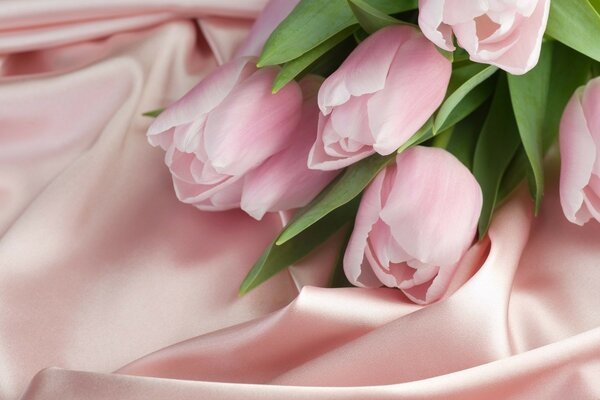 Розовато кремовые тюльпаны на шелке