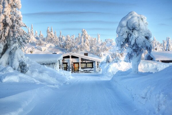 Снег дом