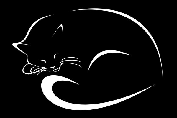 Черный фон рисунок кошка