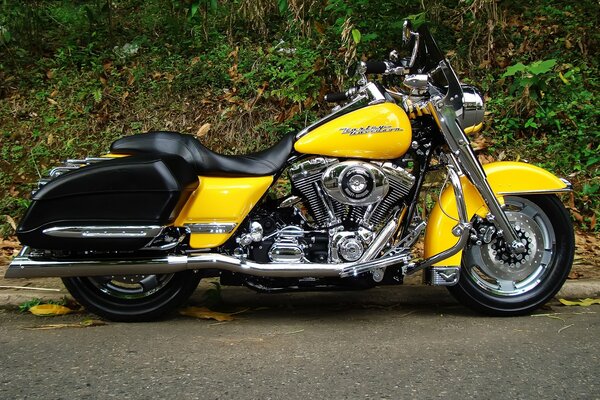 Harley Davidson Road King желтый