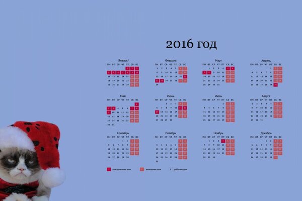 Хмурый кот встечает новый год, календарь на 2016 год