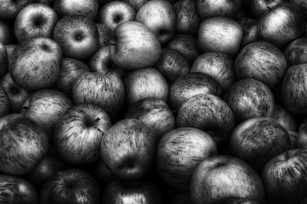Черные яблоки