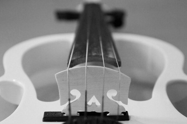 Черно белый скрипка