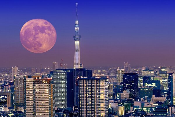 Луна над Токио, Япония