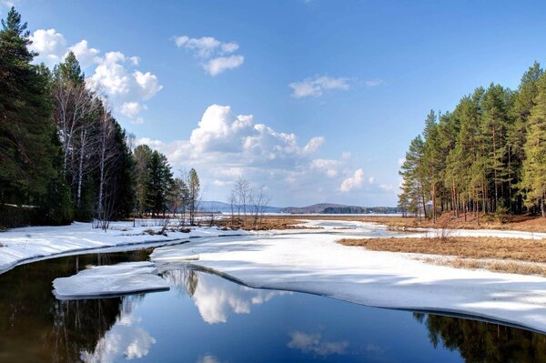 пруд пейзаж озеро вода лес ёлки Природа снег зима